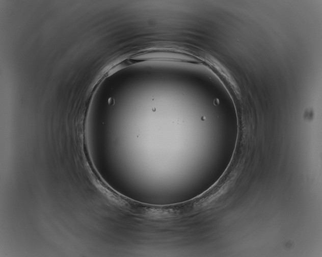 X0000094911049200711291251