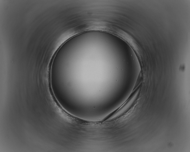 X0000094911050200711291251