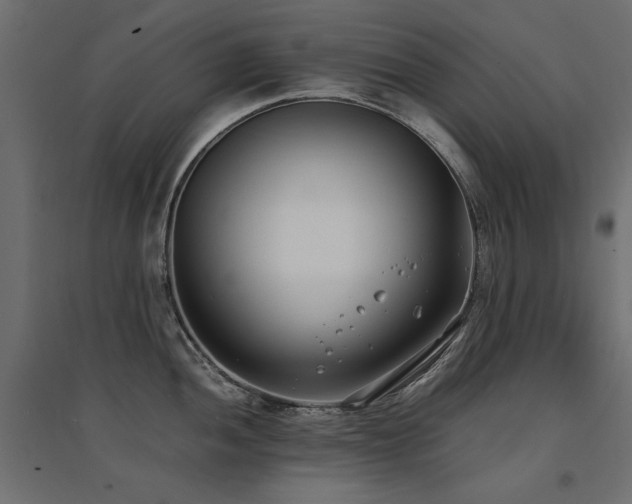 X0000094911052200711291251