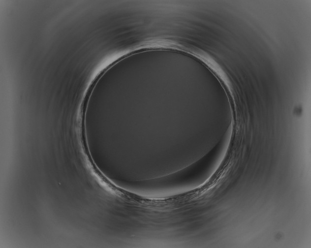 X0000094911053200711291251