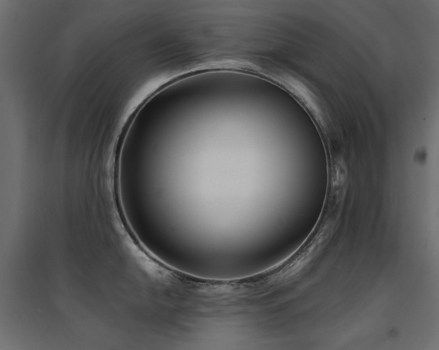 X0000094911054200711291251