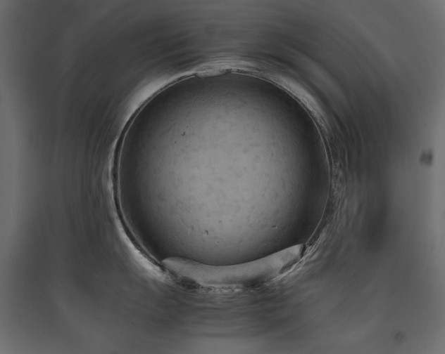 X0000094911055200711291251