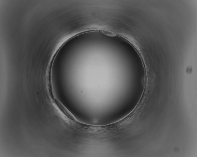 X0000094911056200711291251