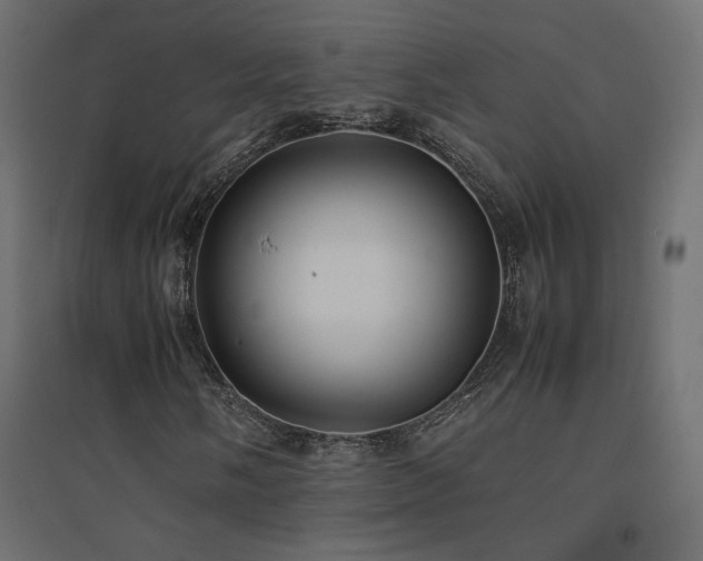 X0000094911058200711291250