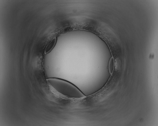 X0000094911059200711291250