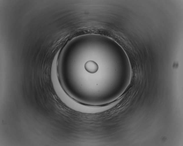 X0000094911060200711291250