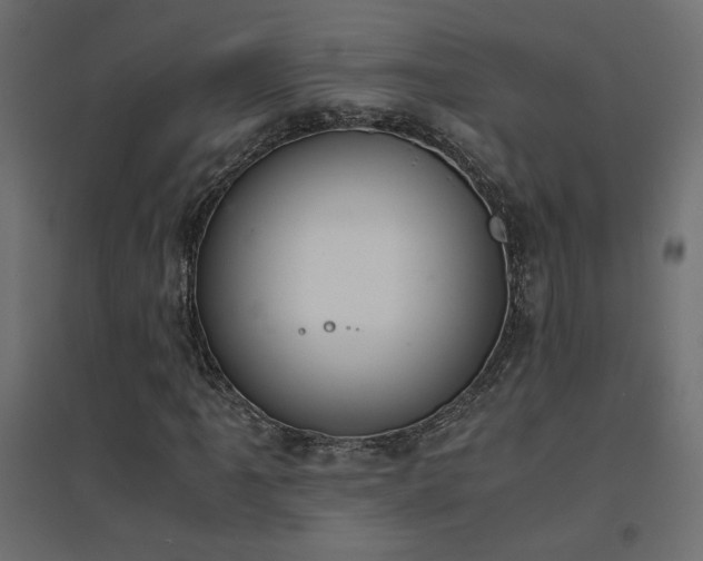 X0000094911061200711291250
