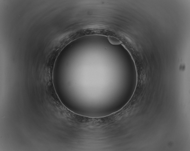 X0000094911062200711291250