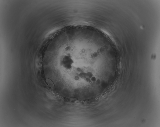 X0000094911063200711291250