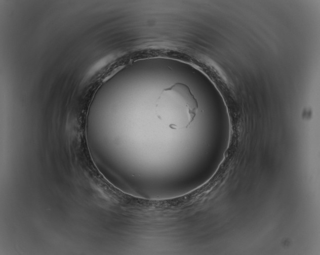 X0000094911064200711291250