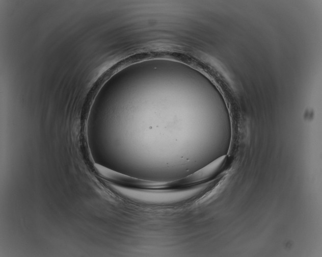 X0000094911065200711291250