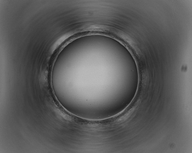 X0000094911066200711291250