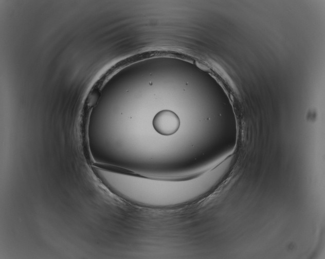 X0000094911068200711291250