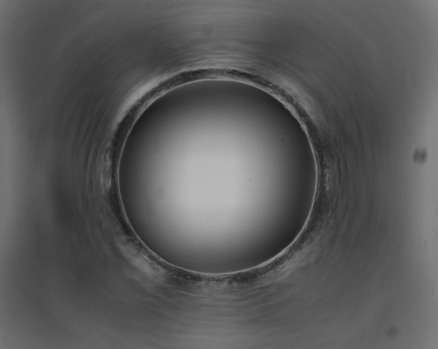 X0000094911069200711291250
