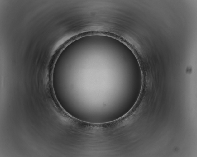 X0000094911070200711291250
