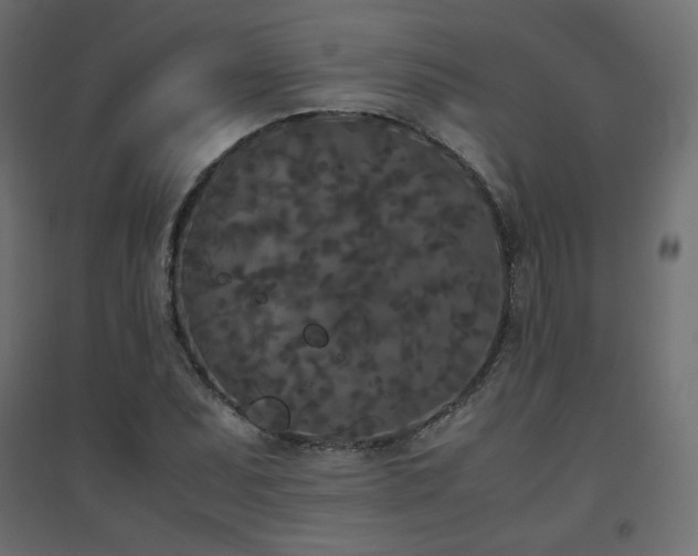 X0000094911071200711291250