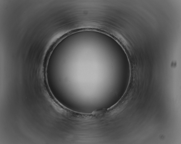 X0000094911072200711291250