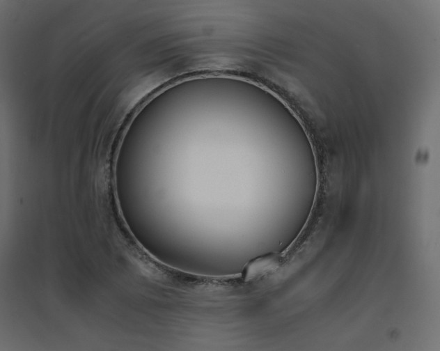 X0000094911073200711291250
