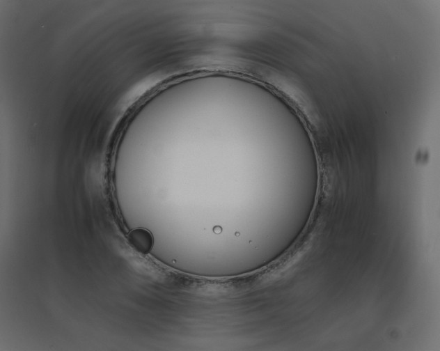 X0000094911074200711291250