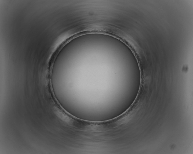 X0000094911075200711291250