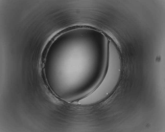 X0000094911076200711291250