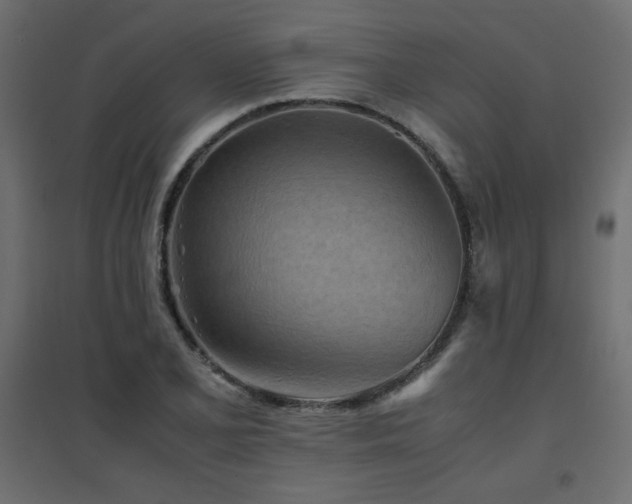 X0000094911077200711291250