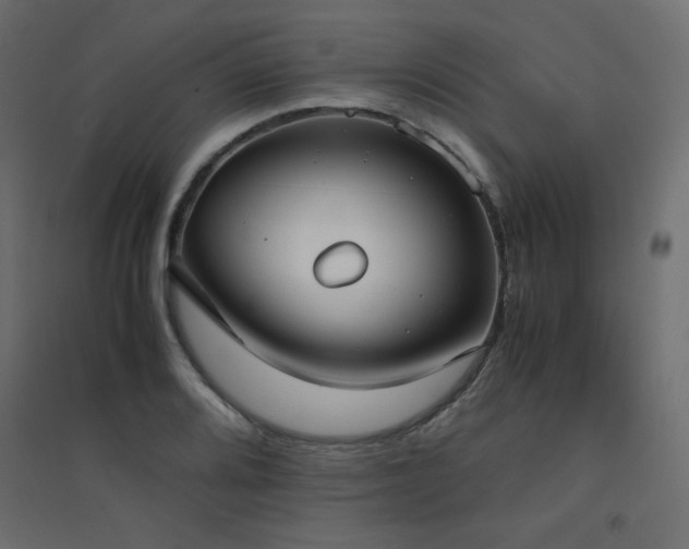 X0000094911080200711291250