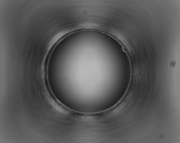 X0000094911082200711291250