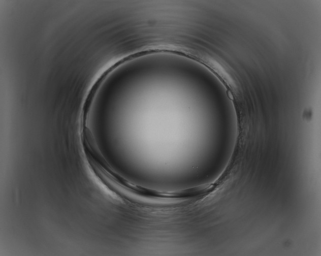X0000094911084200711291250