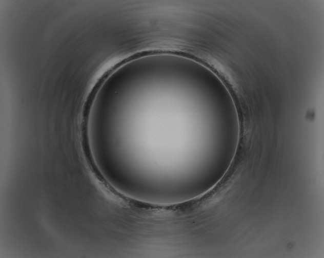 X0000094911085200711291250