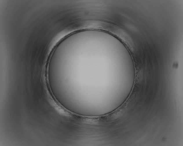 X0000094911086200711291250