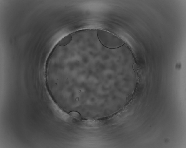 X0000094911087200711291250