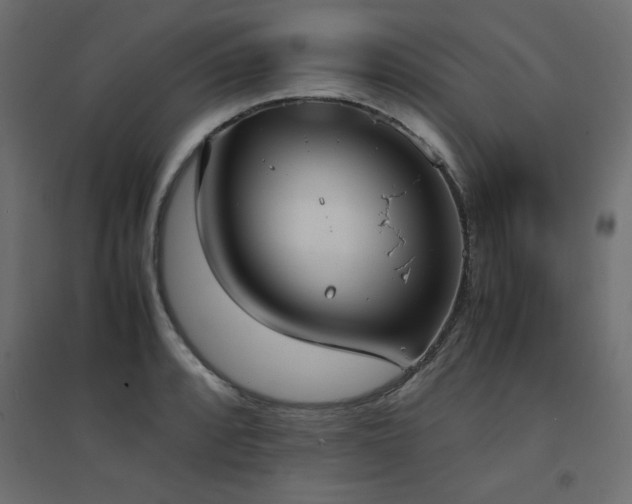 X0000094911088200711291250