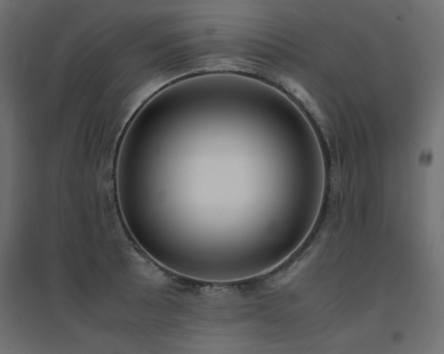 X0000094911089200711291250