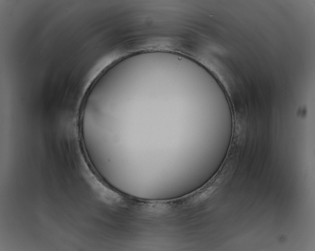 X0000094911090200711291250