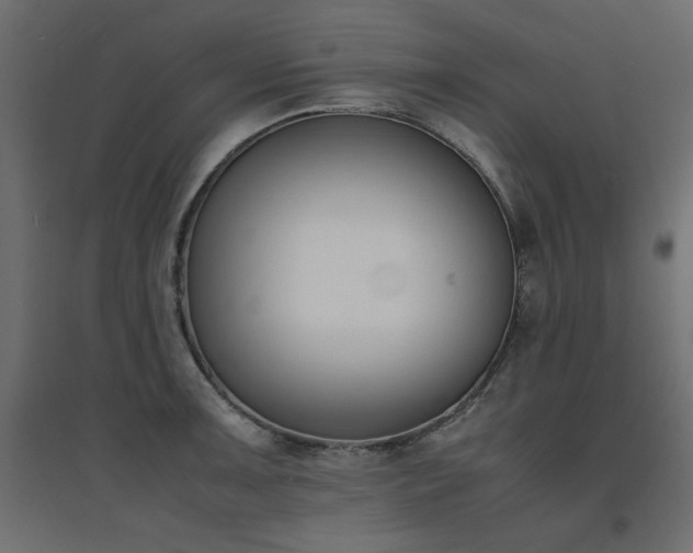 X0000094911091200711291250