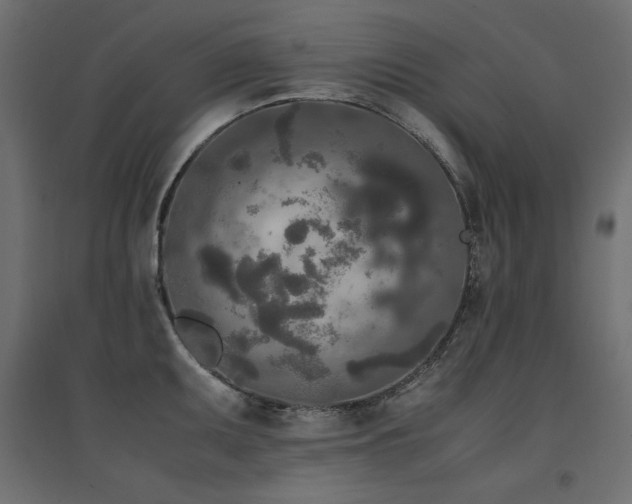 X0000094911095200711291250