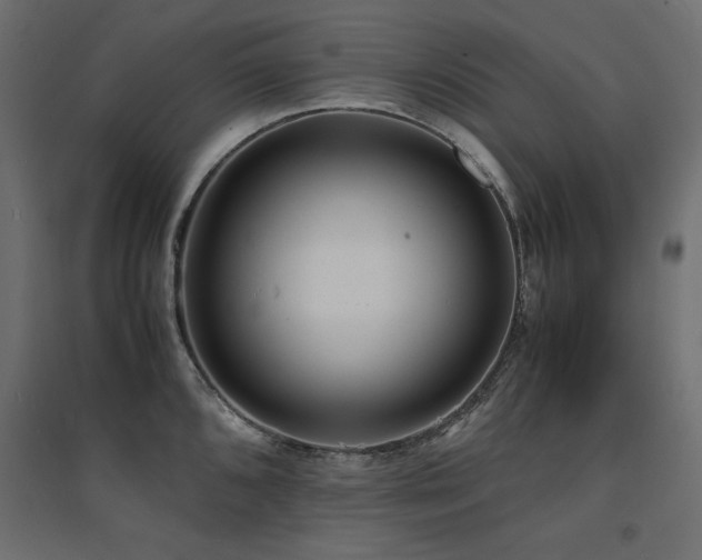 X0000094911096200711291250