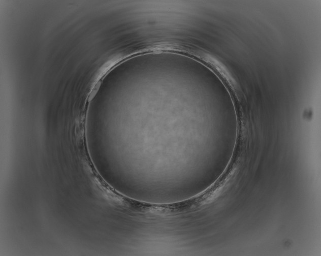 X0000094911097200711291250