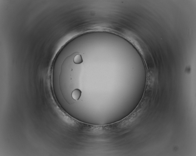 X0000094911098200711291249
