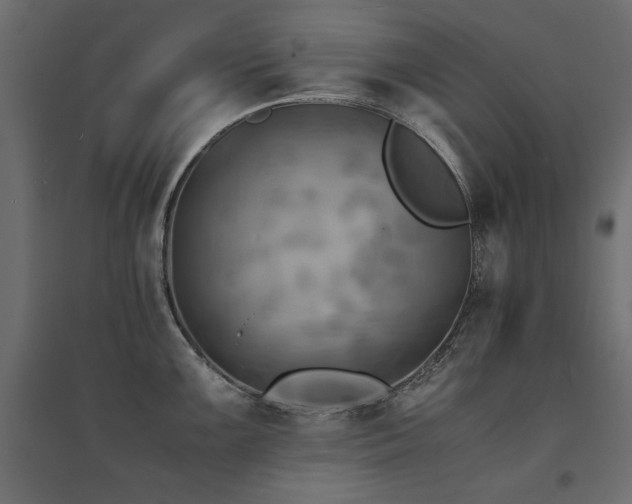 X0000094911099200711291249
