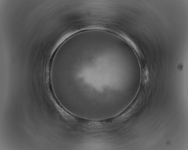 X0000094911101200711291249