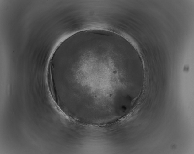 X0000094911104200711291249