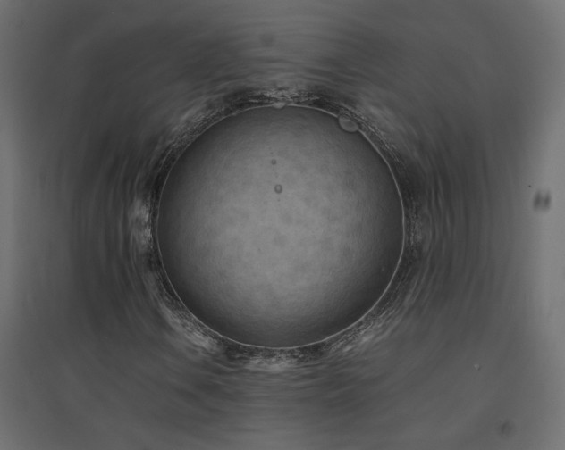 X0000094911106200711291249