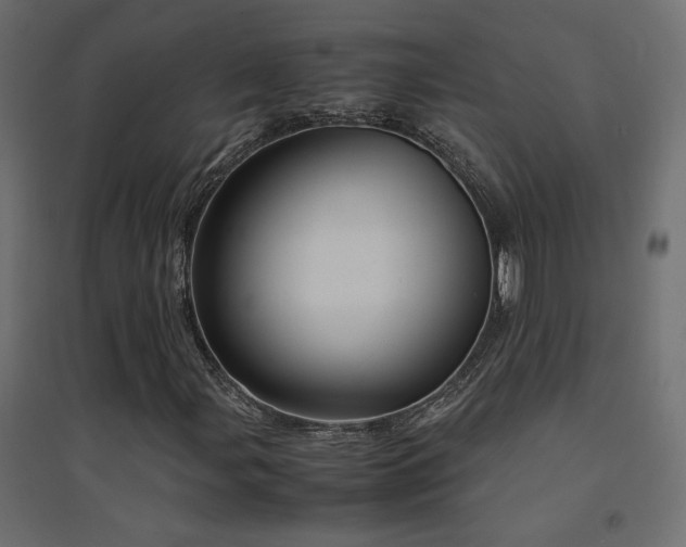 X0000094911107200711291249