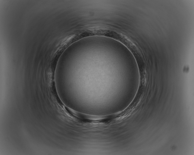 X0000094911108200711291249