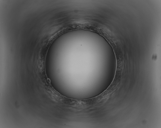 X0000094911109200711291249