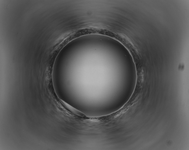 X0000094911110200711291249