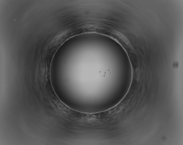 X0000094911111200711291249