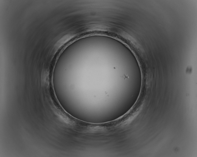 X0000094911113200711291249
